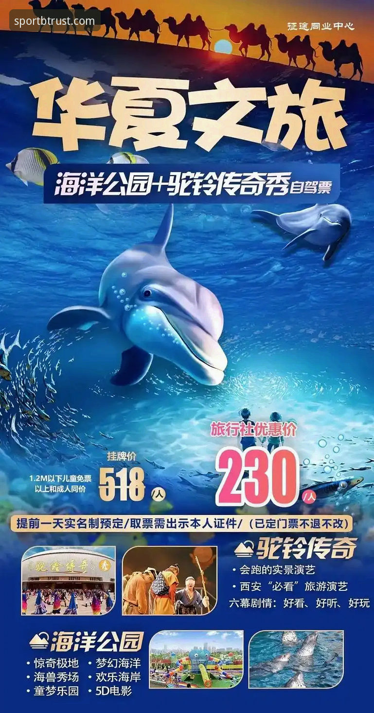 掌握B体育娱乐平台最新版的实用技巧，老用户分享必备知识